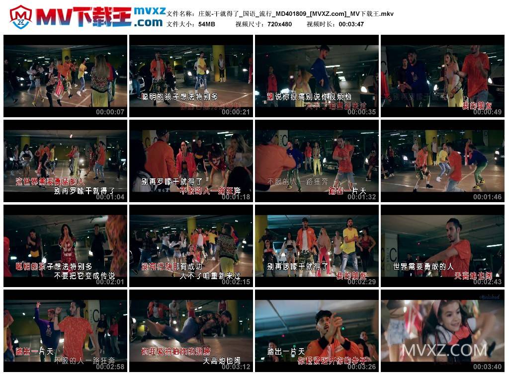 庄妮-干就得了_国语_流行_MD401809
